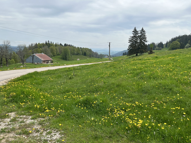 23-05-21 10-50-24 5511